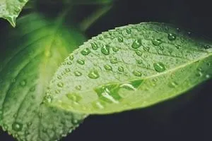 統合医療のzoomセミナーに参加!【岡山市中区◇haku鍼灸院】